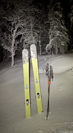 IMG_7653.jpeg