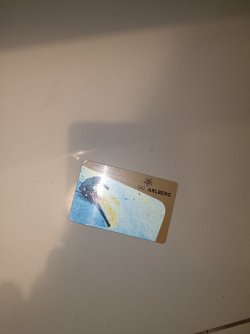 IMG_20231110_221822.jpg