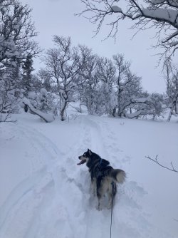 IMG_7548.jpeg
