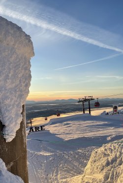IMG_7703.jpeg