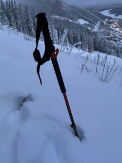 IMG_7729.jpeg