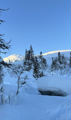 IMG_7727.jpeg