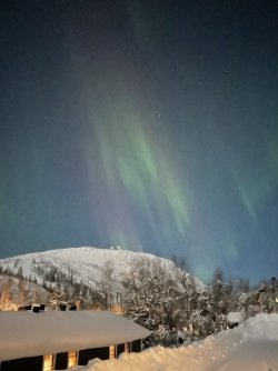 IMG_7746.jpeg
