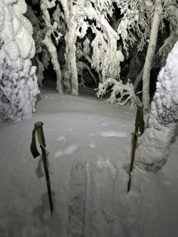 IMG_7951.jpeg