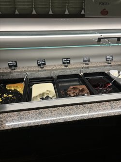 IMG_8047.jpeg