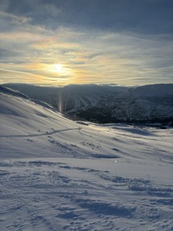IMG_8109.jpeg