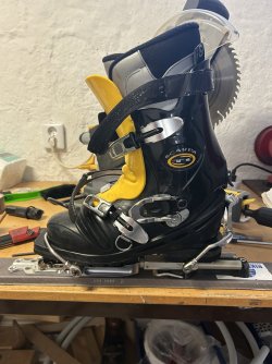 IMG_3299.jpeg