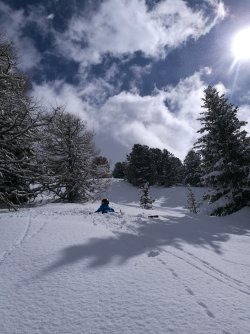 IMG_20180331_150718.jpg