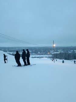 IMG_20240121_152339.jpg