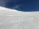 IMG_1010.JPG