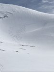 90DDE749-1F97-4783-BF80-AB147708E05A.jpeg
