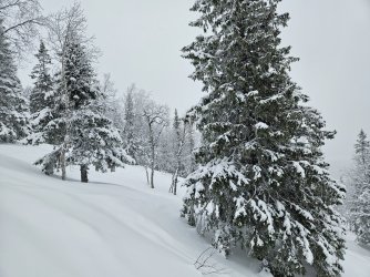 20240216_104432.jpg