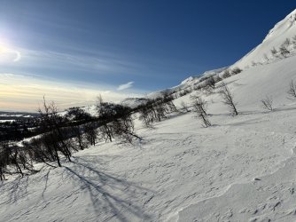IMG_8533.jpeg
