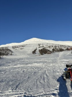 IMG_8500.jpeg