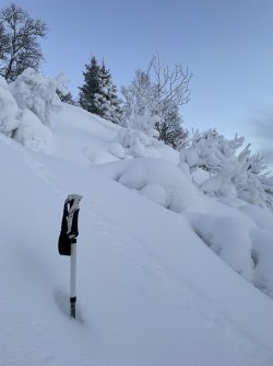 IMG_7750.jpeg