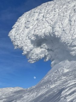IMG_7930.jpeg
