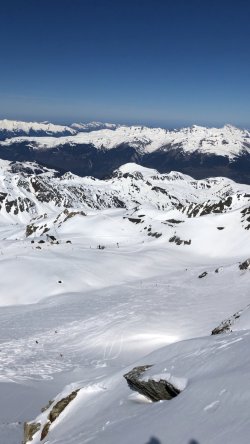 IMG_3234.jpeg