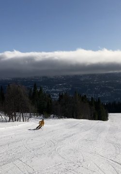 IMG_8004.jpeg