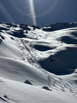 IMG_8886.jpeg