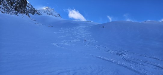 20240316_092145.jpg