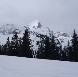 20240315_113859.jpg