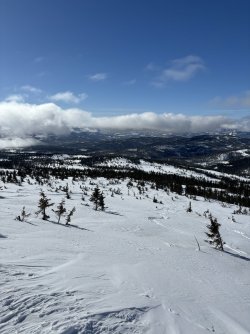 IMG_9027.jpeg