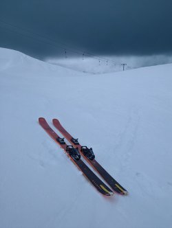 PXL_20240405_132941374.MP~2.jpg