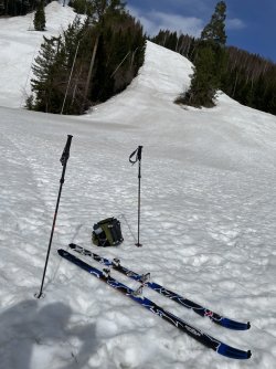 IMG_4181.jpeg