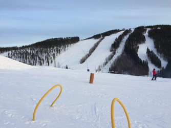 IMG_8736.jpeg