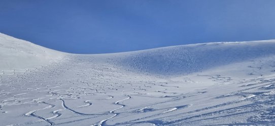 20240418_153736.jpg