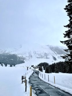 IMG_6595.jpeg