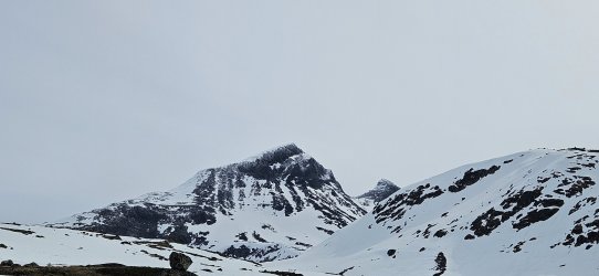 20240510_111159.jpg