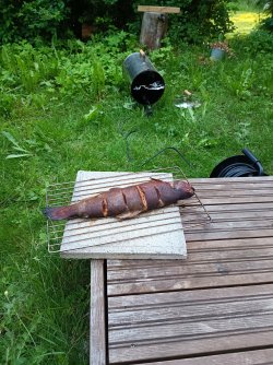 IMG_20240613_205925.jpg