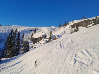 20240209_151607.jpg
