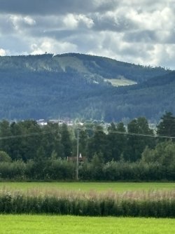 IMG_9528.jpeg