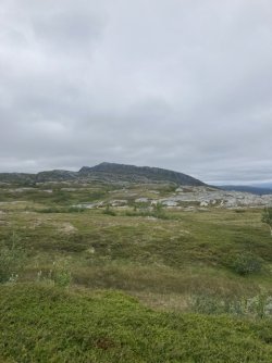 IMG_3882.jpeg