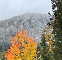 IMG_8832.jpeg