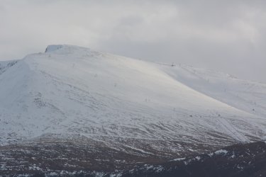 DSC_0137.jpeg