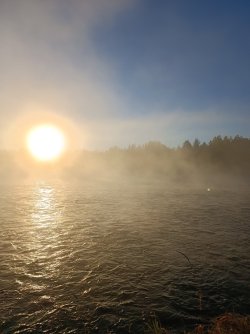 IMG_20240922_075616.jpg