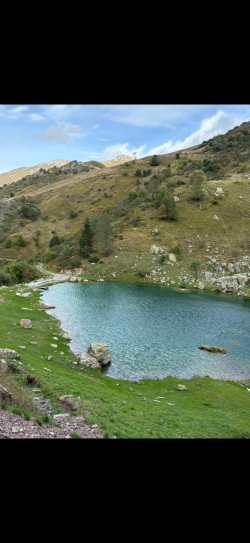 IMG_0237.png