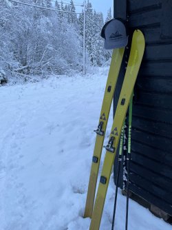 IMG_9030.jpeg