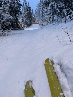 IMG_9034.jpeg