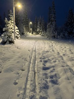 IMG_9035.jpeg
