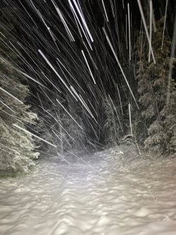 IMG_9074.jpeg