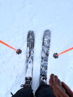 IMG_0841.jpeg
