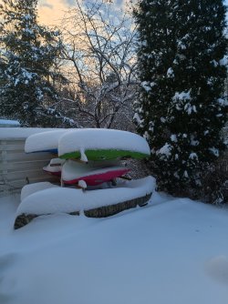 IMG_20241215_113547.jpg
