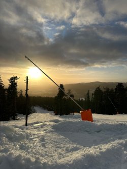 IMG_3508.jpeg