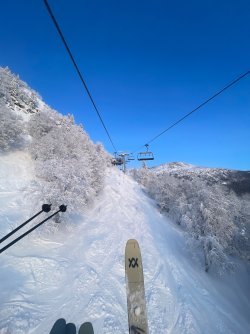 IMG_1692.jpeg