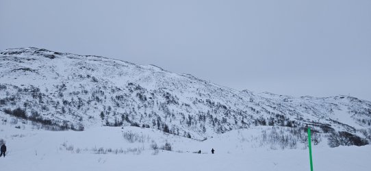 20241231_103118.jpg