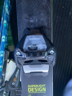 IMG_7782.jpeg